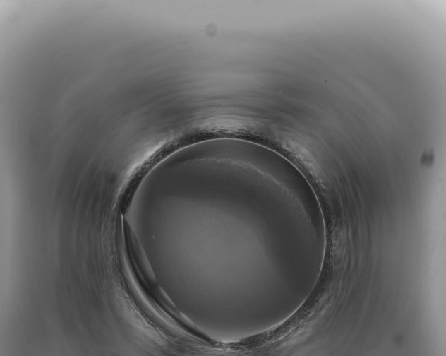 X0000090770399200707271532