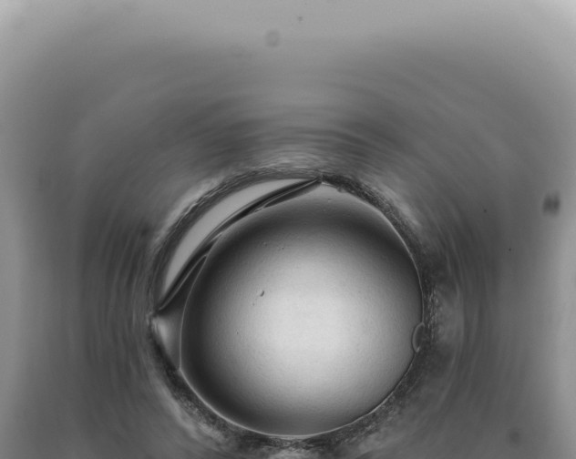 X0000090770400200707271532