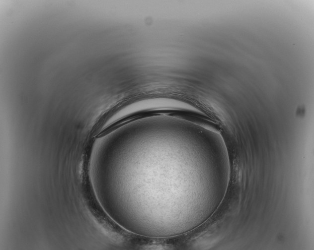 X0000090770404200707271531