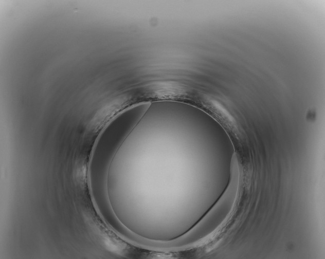 X0000090770405200707271531