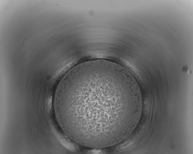 X0000090770406200707271531