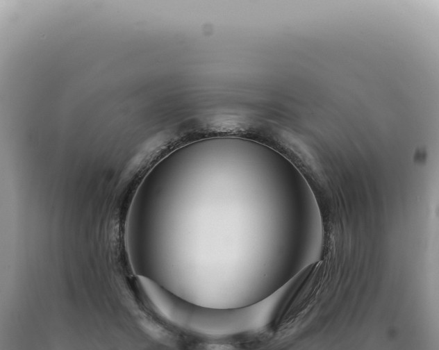 X0000090770407200707271531