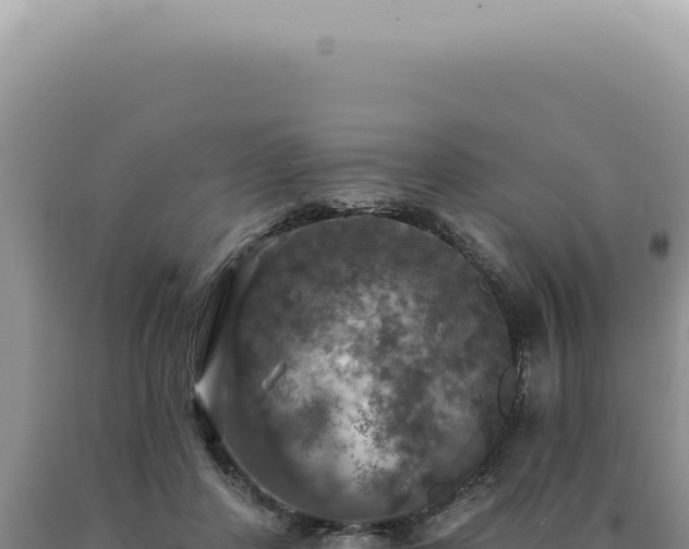X0000090770408200707271531