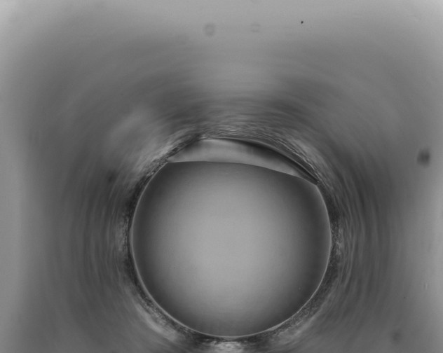 X0000090770409200707271531