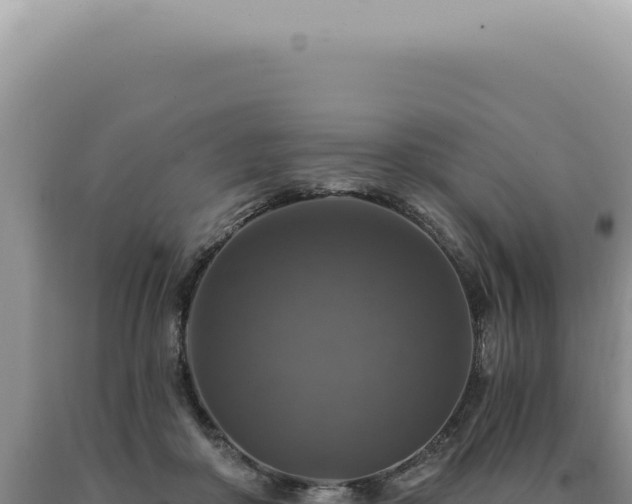 X0000090770410200707271531