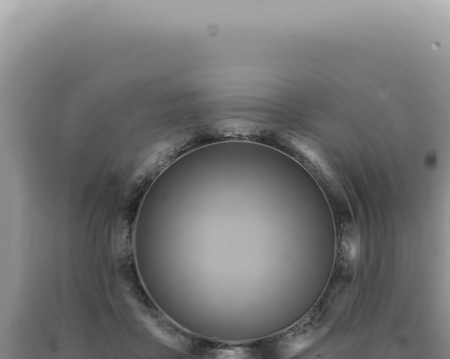 X0000090770411200707271531