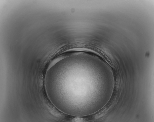 X0000090770413200707271531