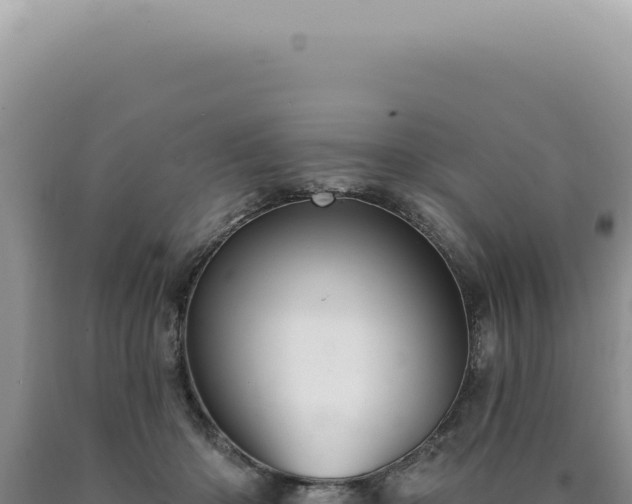 X0000090770414200707271531