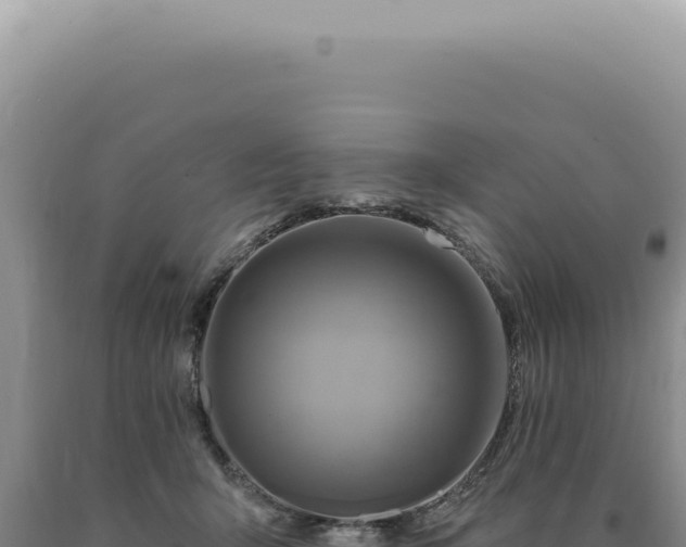 X0000090770415200707271531