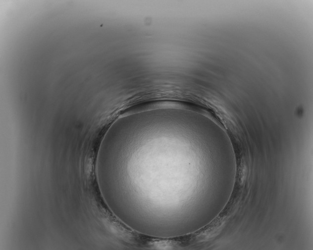 X0000090770417200707271531