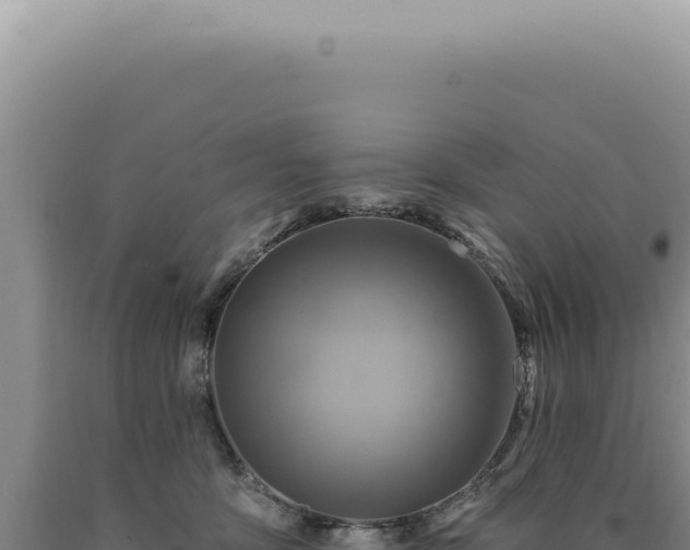 X0000090770419200707271531