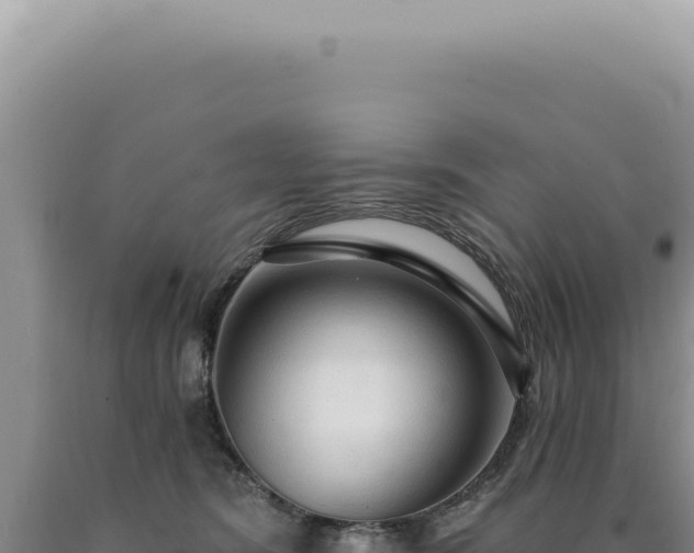 X0000090770420200707271531