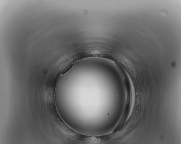 X0000090770421200707271531