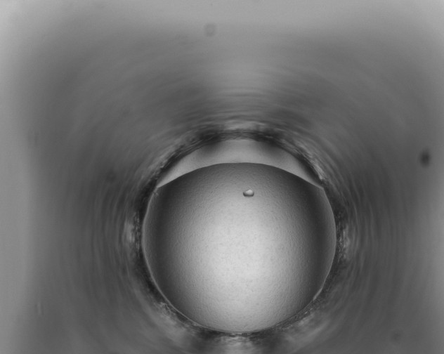 X0000090770424200707271531