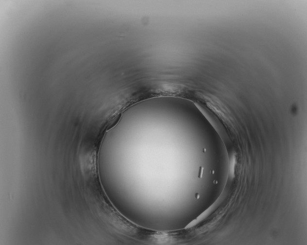 X0000090770425200707271531