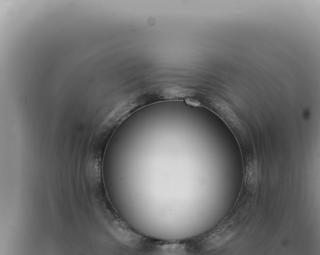 X0000090770426200707271531
