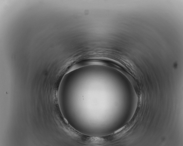 X0000090770429200707271531