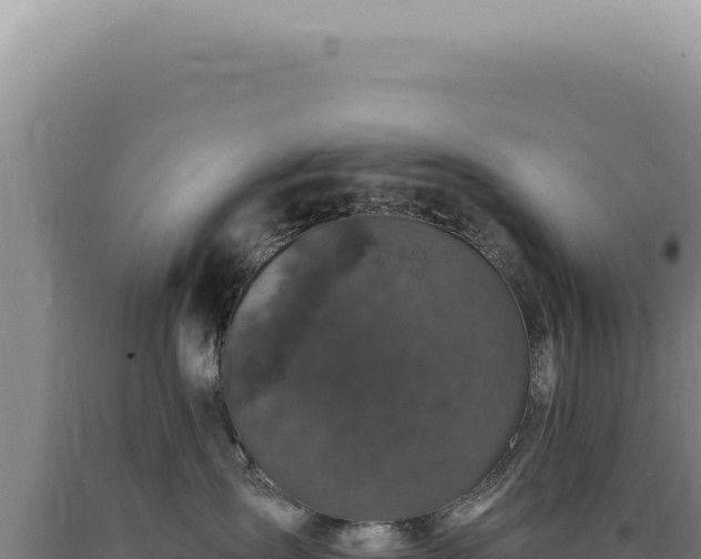 X0000090770431200707271531