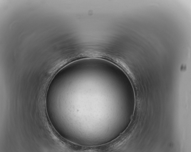 X0000090770433200707271531