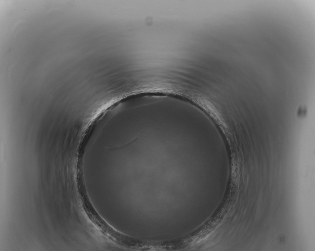 X0000090770434200707271531