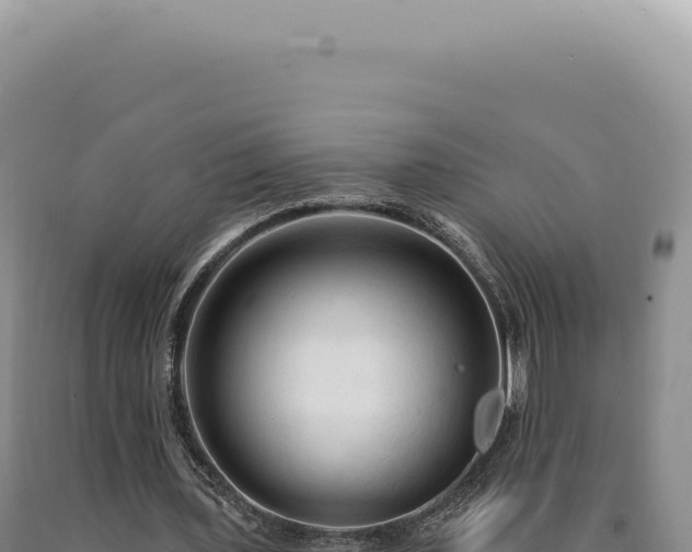 X0000090770435200707271531