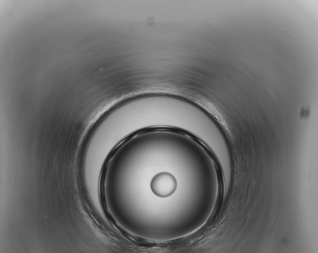 X0000090770436200707271531