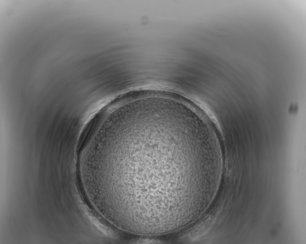 X0000090770437200707271531