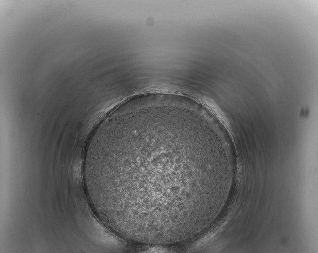 X0000090770441200707271531