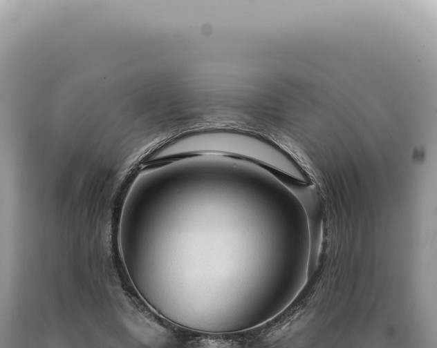 X0000090770442200707271531