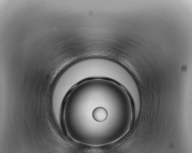 X0000090770444200707271531