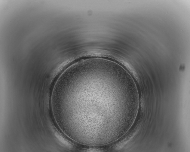 X0000090770445200707271531