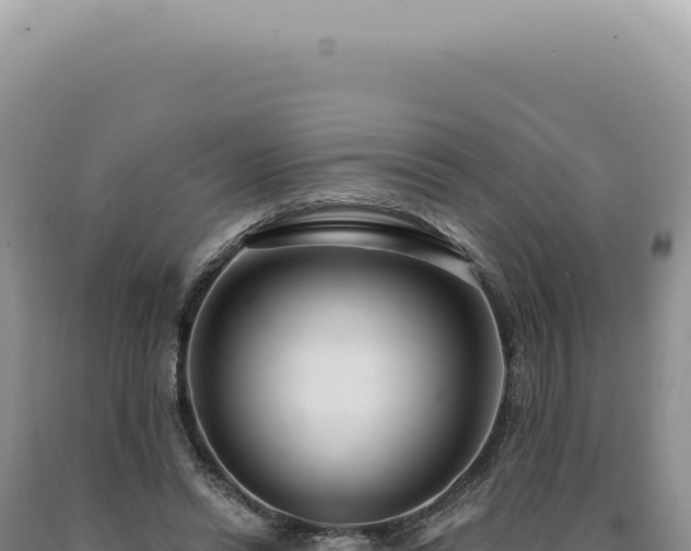X0000090770446200707271531