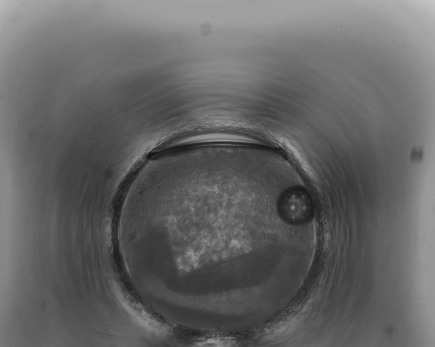 X0000090770447200707271531
