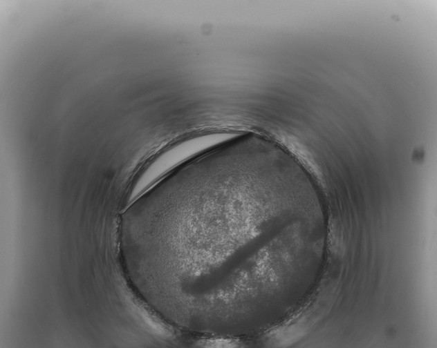 X0000090770449200707271531