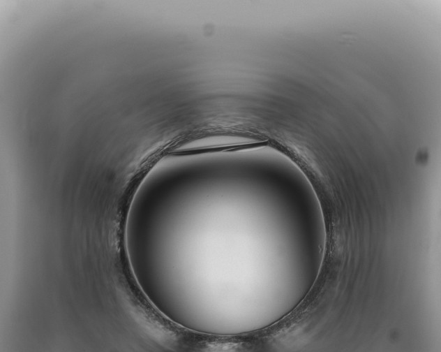 X0000090770450200707271531