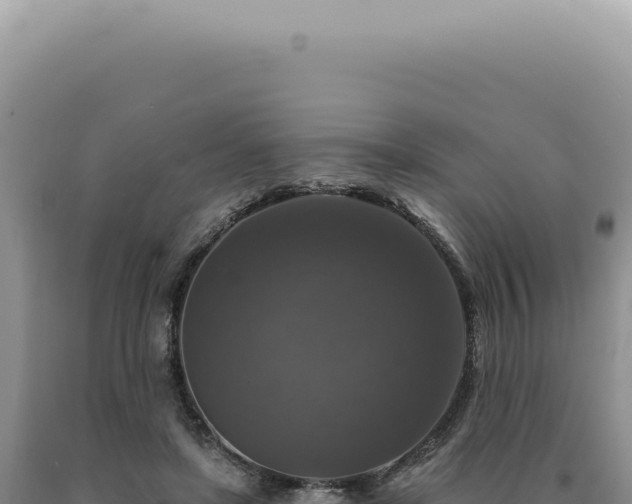 X0000090770451200707271531