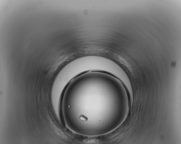 X0000090770452200707271531