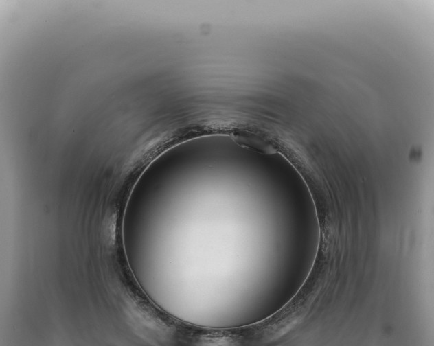 X0000090770454200707271531