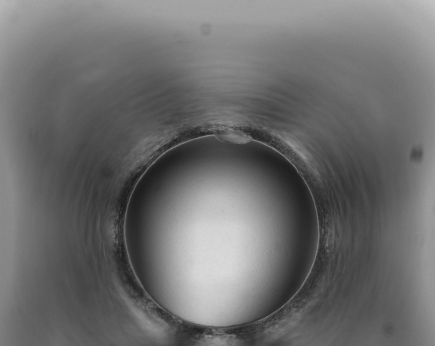 X0000090770455200707271531