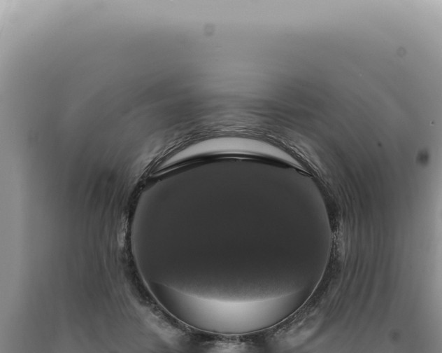 X0000090770458200707271531