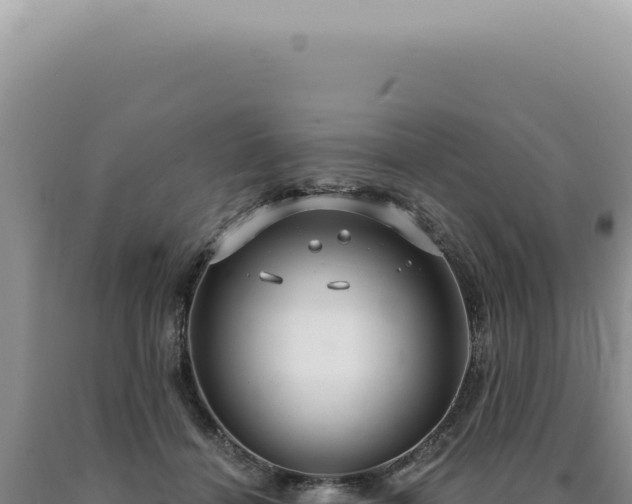 X0000090770460200707271531