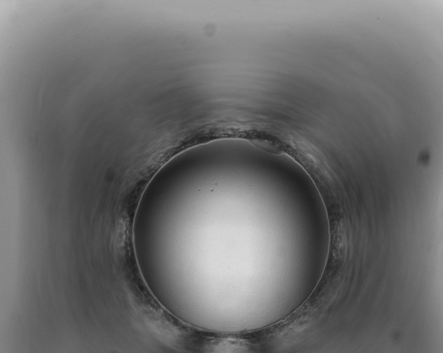 X0000090770463200707271531