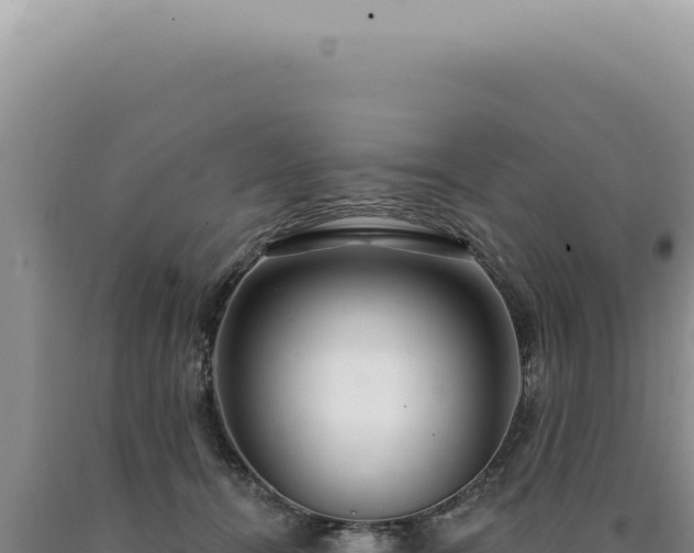 X0000090770464200707271531