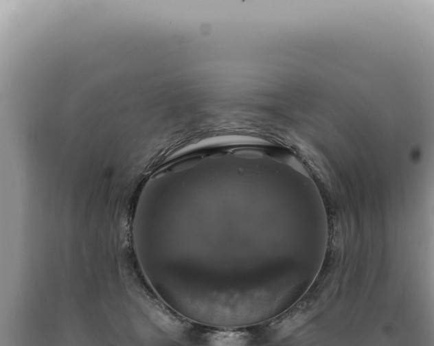 X0000090770465200707271531