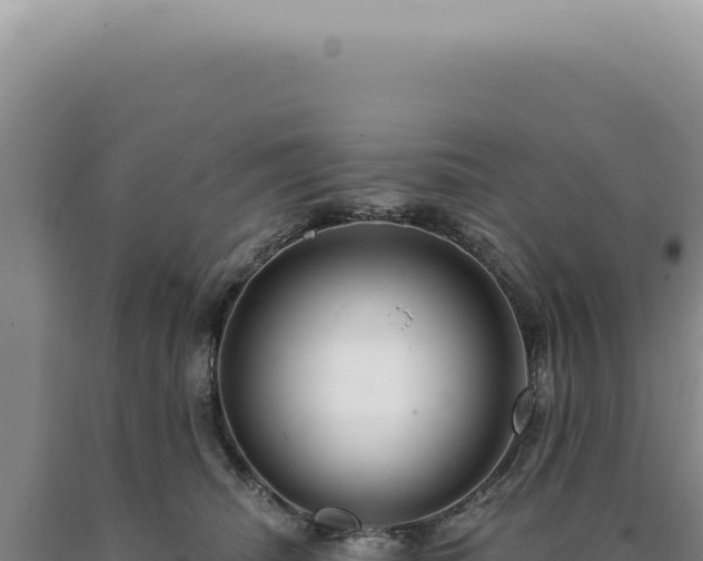 X0000090770468200707271531