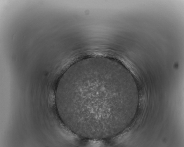 X0000090770469200707271531