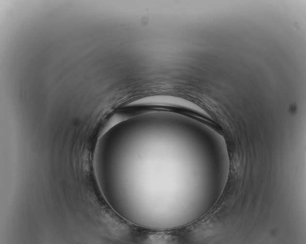 X0000090770470200707271531