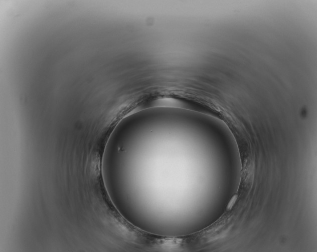 X0000090770474200707271531