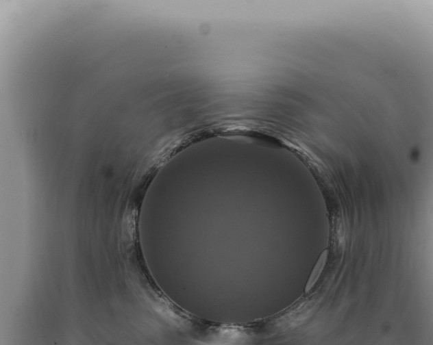 X0000090770475200707271531
