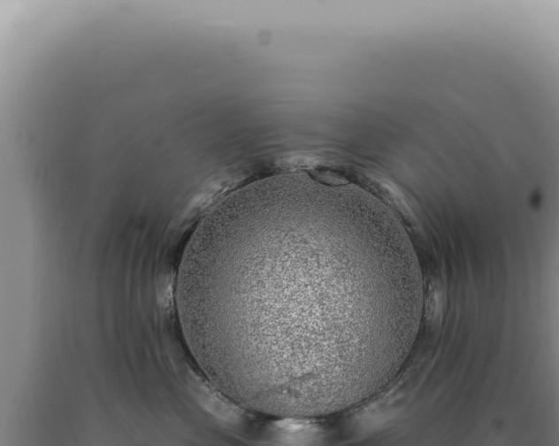 X0000090770477200707271531